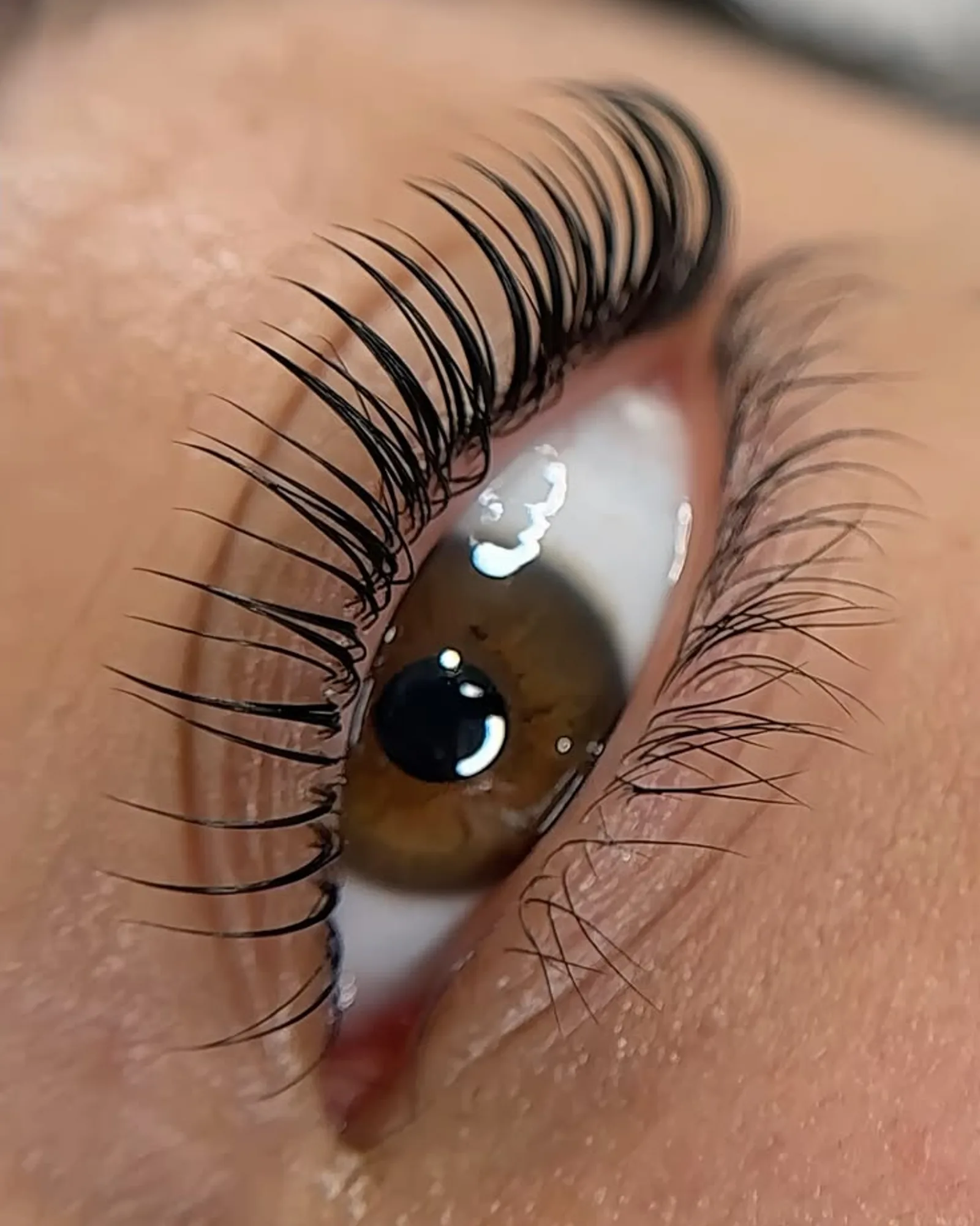 Lash lift en tint